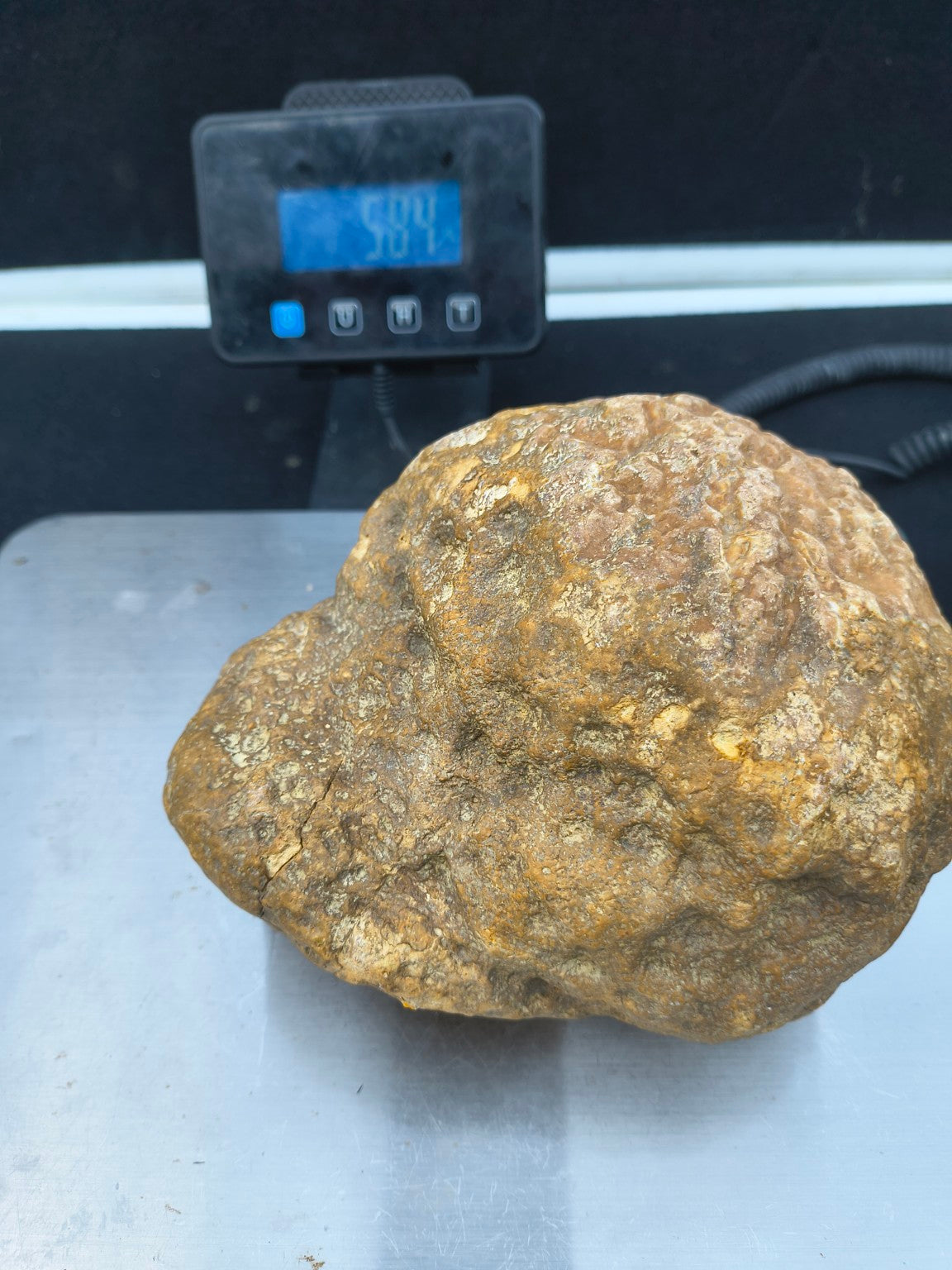Kentucky geode 08072601 with weight scale