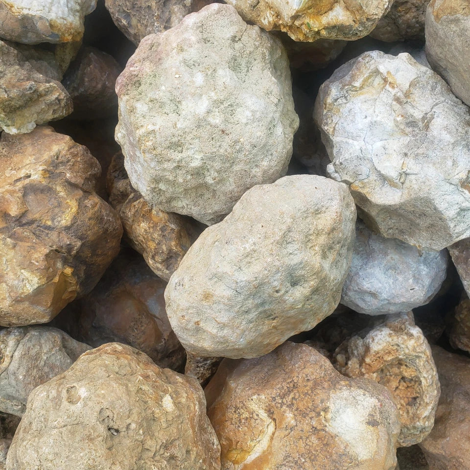 Close-up of premium Kentucky lapidary geodes and quartz nodules showing natural texture and variety