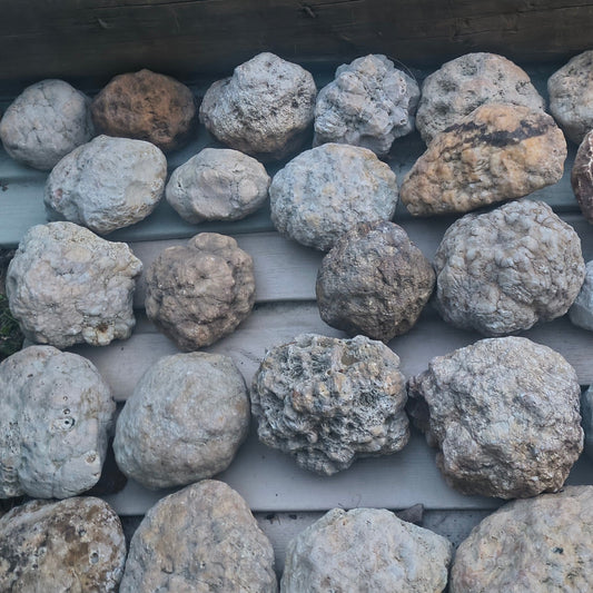 Natural Kentucky geodes example lot for surprise pack