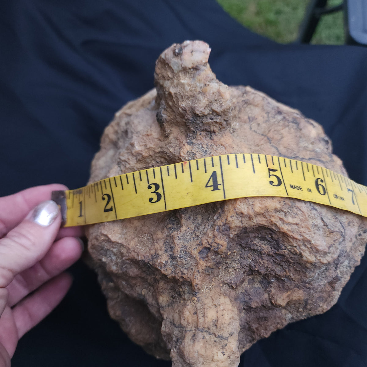 6.74 lb Kentucky Rattler Geode - Large Whole Unopened Hollow Crystals Rock