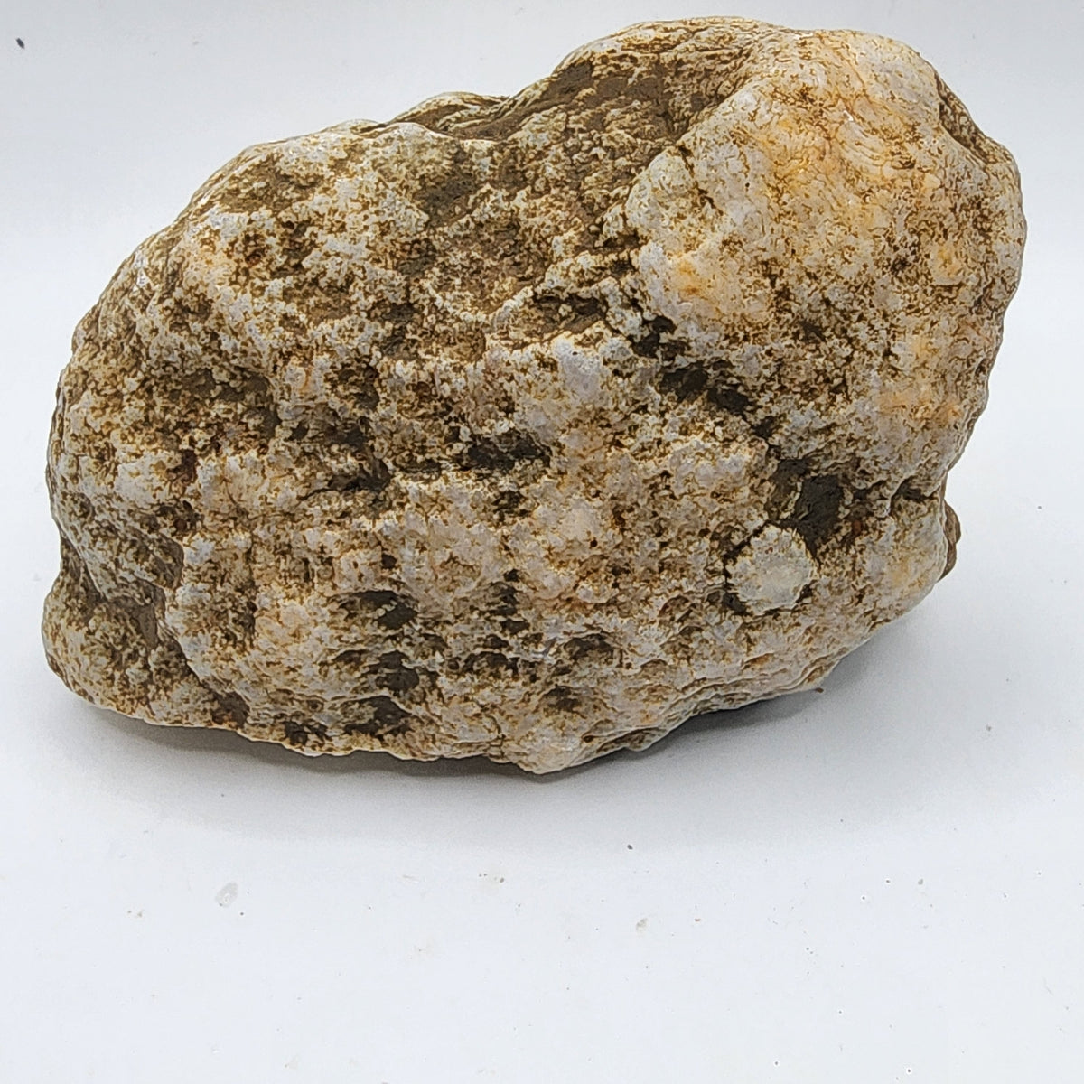 Natural Kentucky Quartz Geode Half - Smoky Crystal Points - Hand Collected