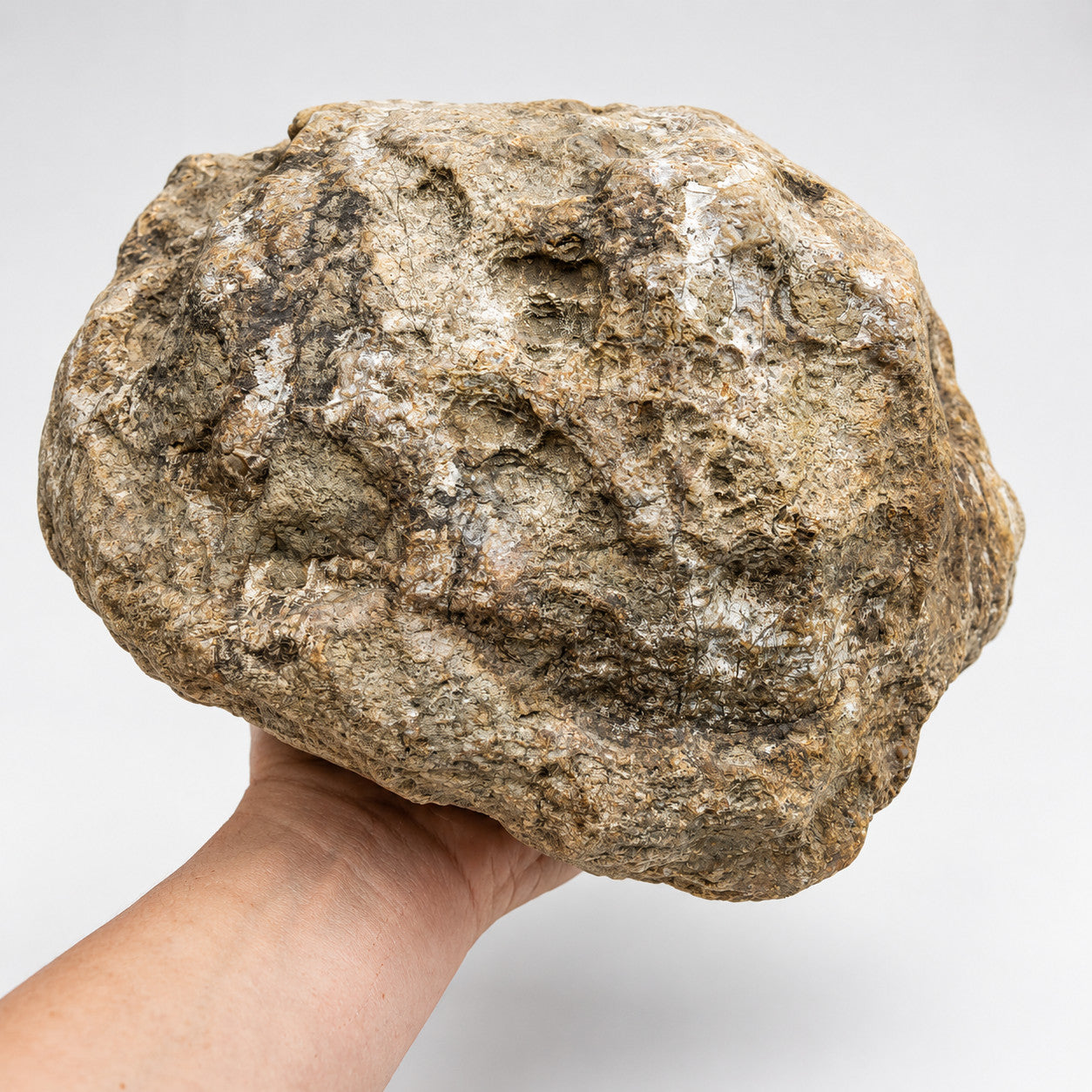 Large Kentucky Geode, 11.20 lb Unopened Natural Crystal Geode, Exact 9 Inch Specimen – Fishing Creek, KY