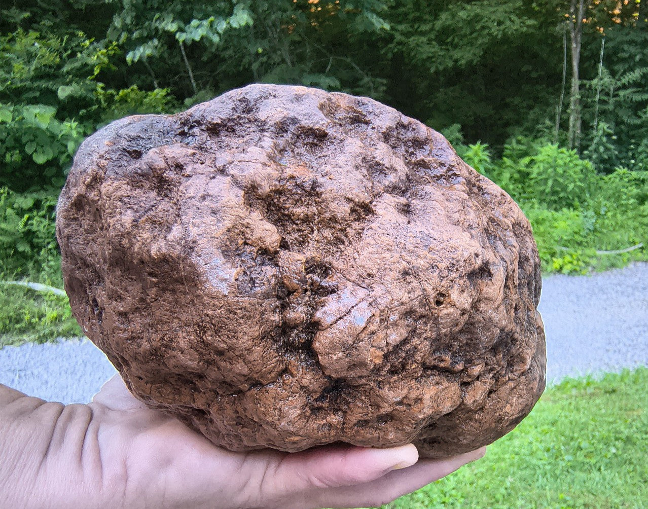 10.07 lb Kentucky Geode, Unopened, Natural Crystal Geode + Bonus – Hand-Collected at Fishing Creek, KY