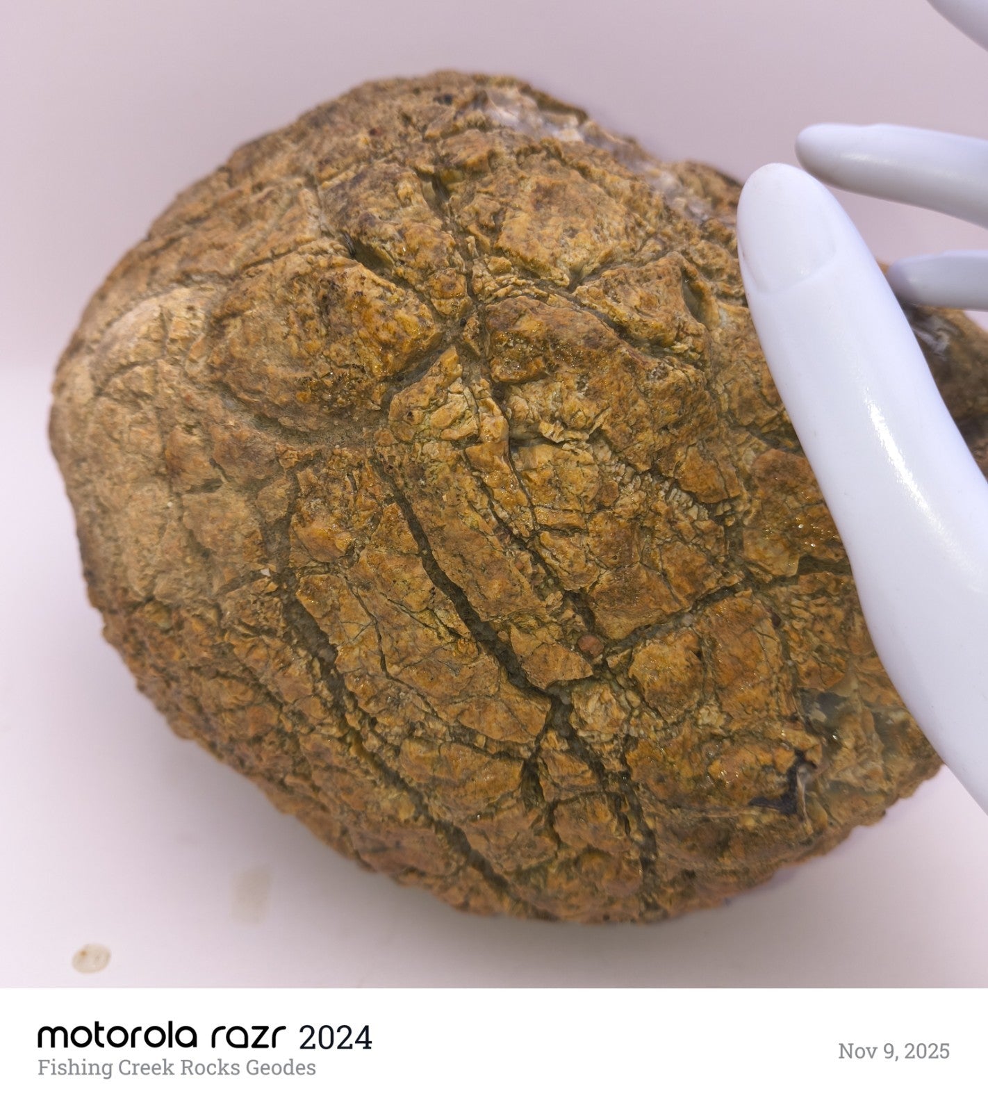 Large 12.24lb Septarian Concretion Stone, Natural Geological Specimen – Fishing Creek, KY