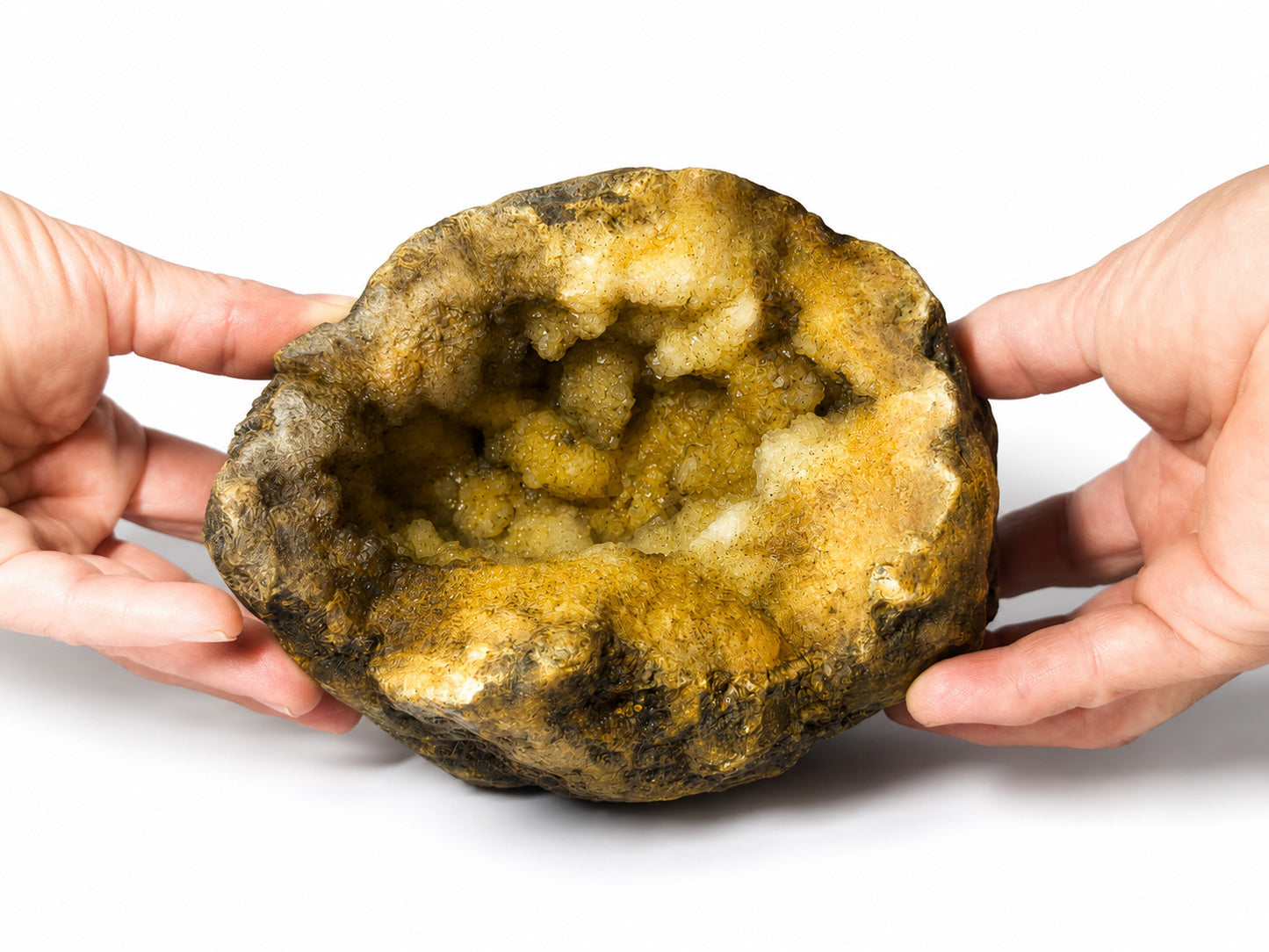 5 lb 3 oz Open KY Geode, Golden Crystal Cavity, Large Display Specimen, Collectible – Fishing Creek, KY