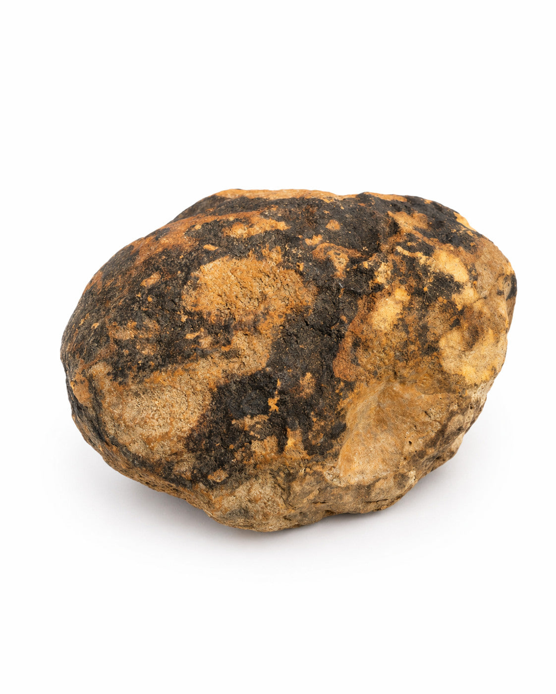 9.12 lb Unopened Kentucky Geode, Break Your Own, Hand Picked KY Lincoln Co – Fishing Creek, KY
