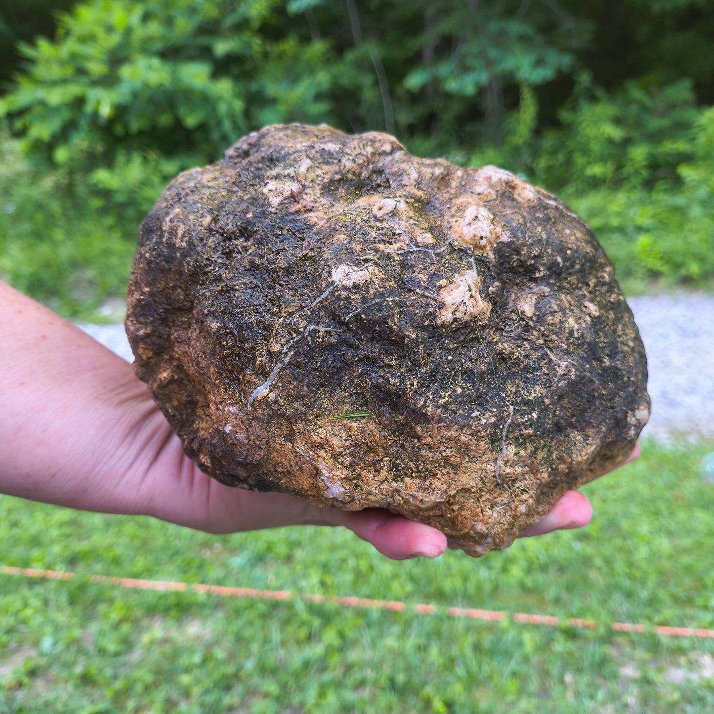 9.22 lb Kentucky Geode, Unopened Natural Crystal Geode + Bonus – Fishing Creek, KY
