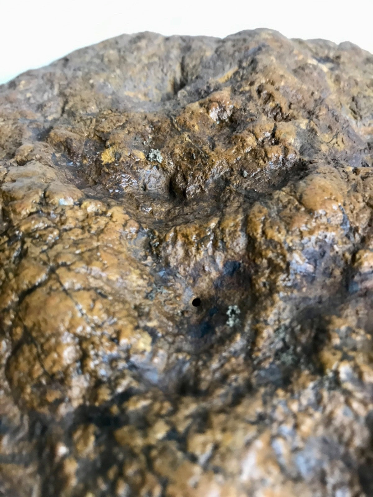 Exact Kentucky Geode, 35 lb Natural Crystal Nodule Specimen – Fishing Creek, KY