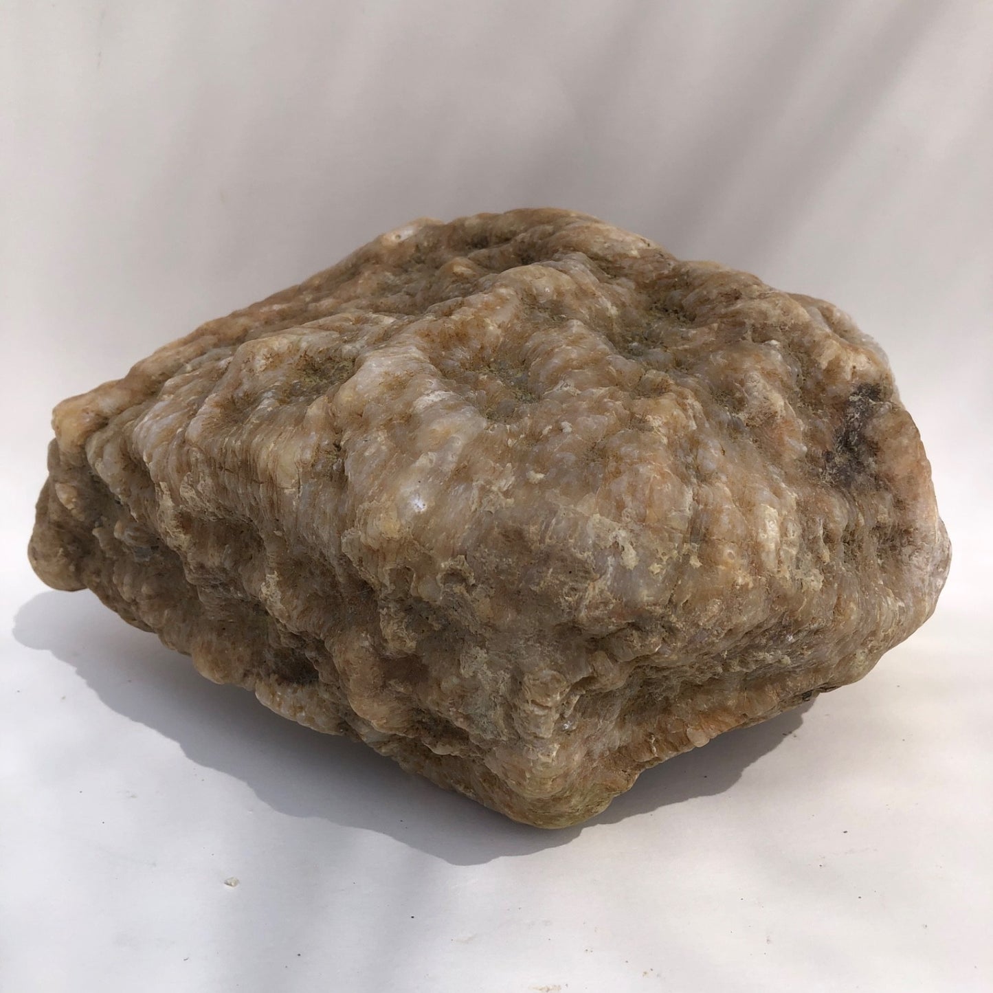 18.44 lb Kentucky Thunder Egg Geode, Lincoln County, Nodular Chalcedony, Uncut – Fishing Creek, KY