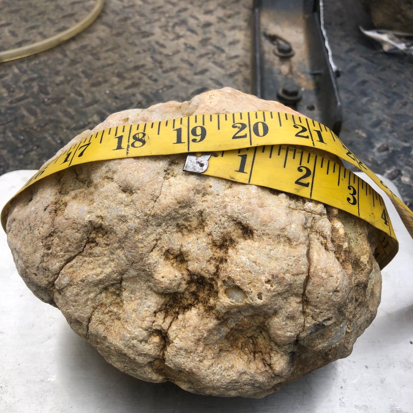 Unopened Kentucky Geode — 7" Wide Large Display Nodule, Crack Your Own