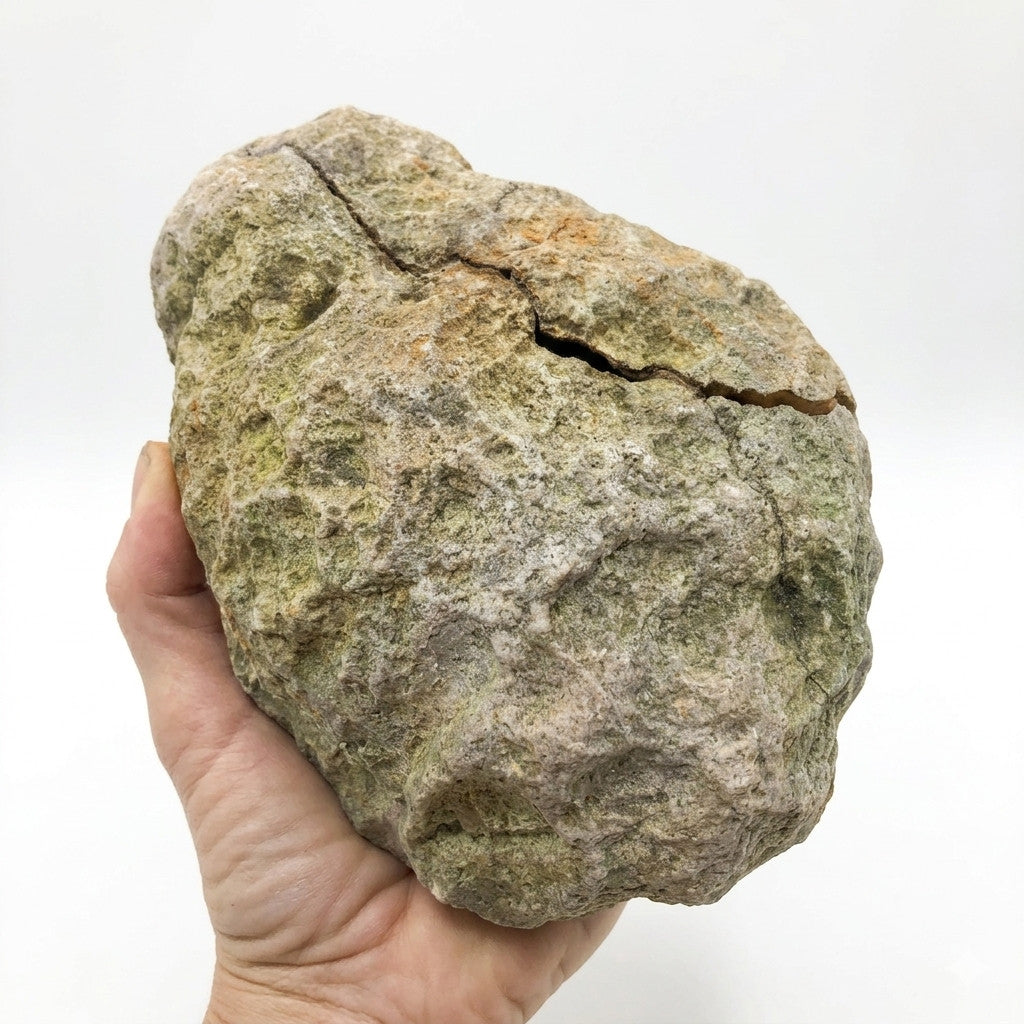 Kentucky Open Geode, Quartz Crystal, Exact Specimen, 3.46 lb, Iron Stained – Fishing Creek, KY