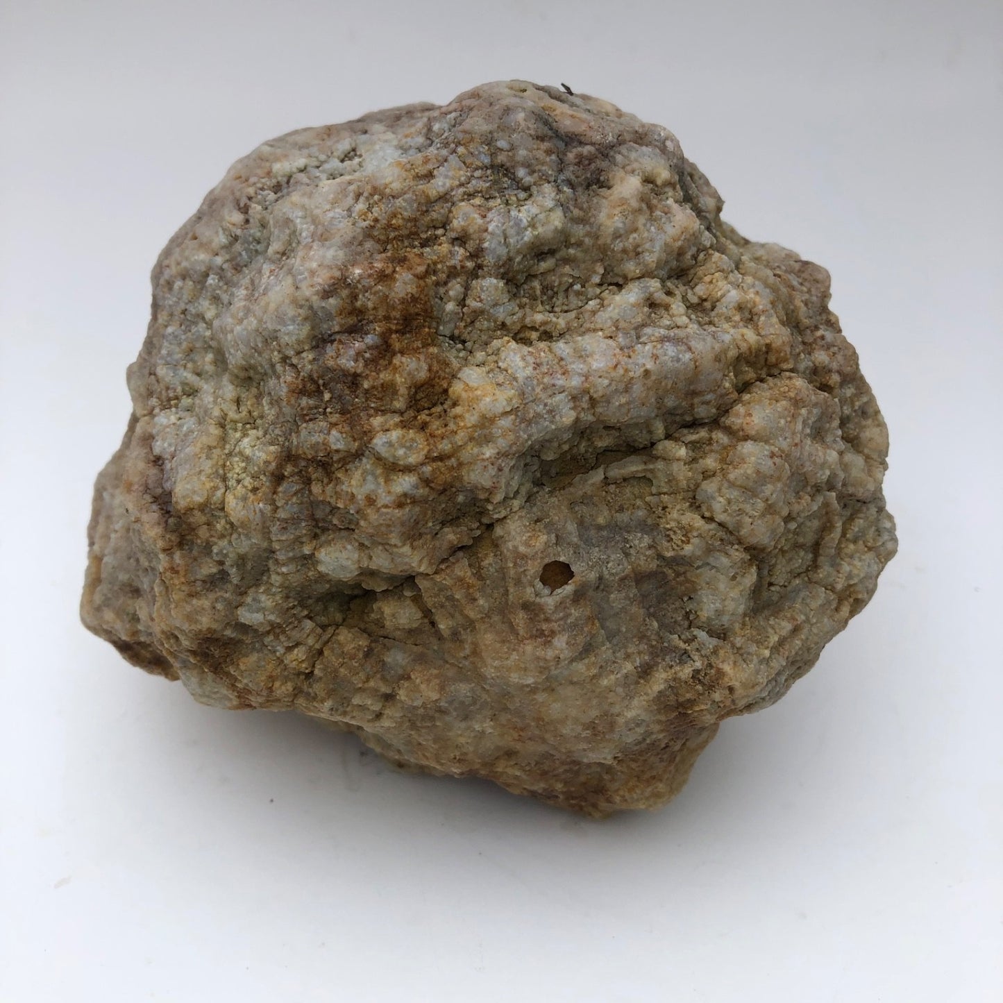 2.5 lb Kentucky Geode Rattler, Whole Natural Crystal Specimen, 5 Inch – Fishing Creek, KY