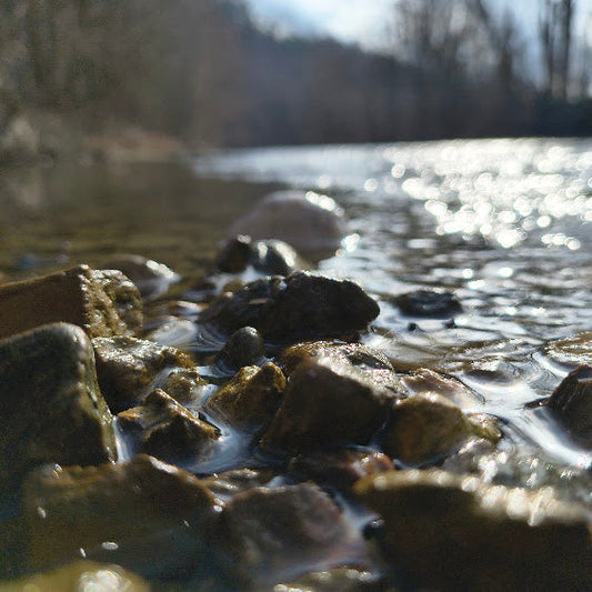 Where to Find Geodes in Kentucky: A Local's Guide to the Best Spots
