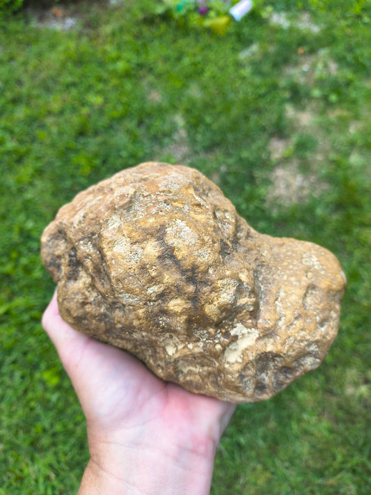 Authentic Kentucky geode 08072601, 5.84 lb, Broughtontown Kentucky