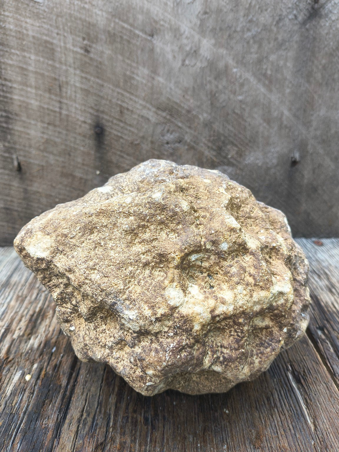 Kentucky geode 08072602 size measurement