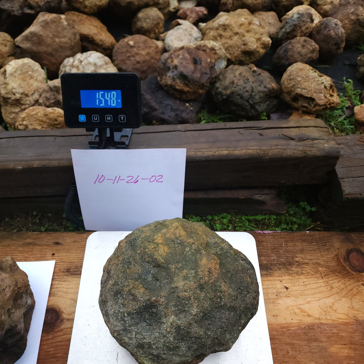 15.48 LB Whole Unopened Kentucky Geode [10-11-26-02]