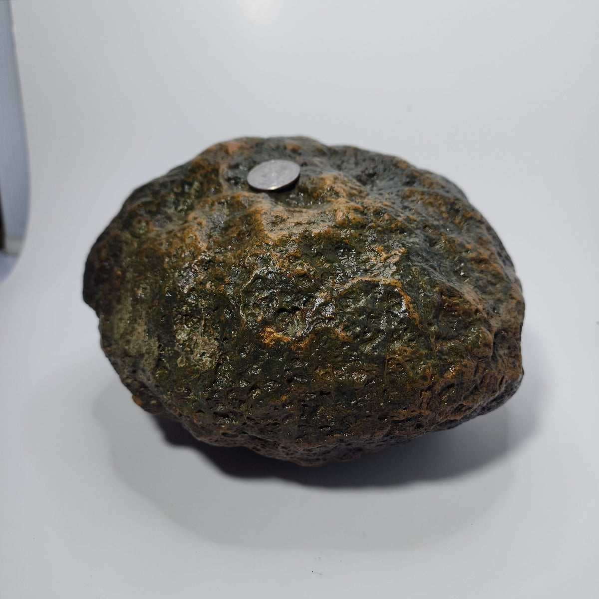 15.48 LB Whole Unopened Kentucky Geode [10-11-26-02]