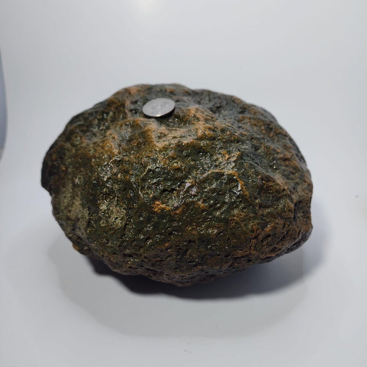 15.48 LB Whole Unopened Kentucky Geode [10-11-26-02]