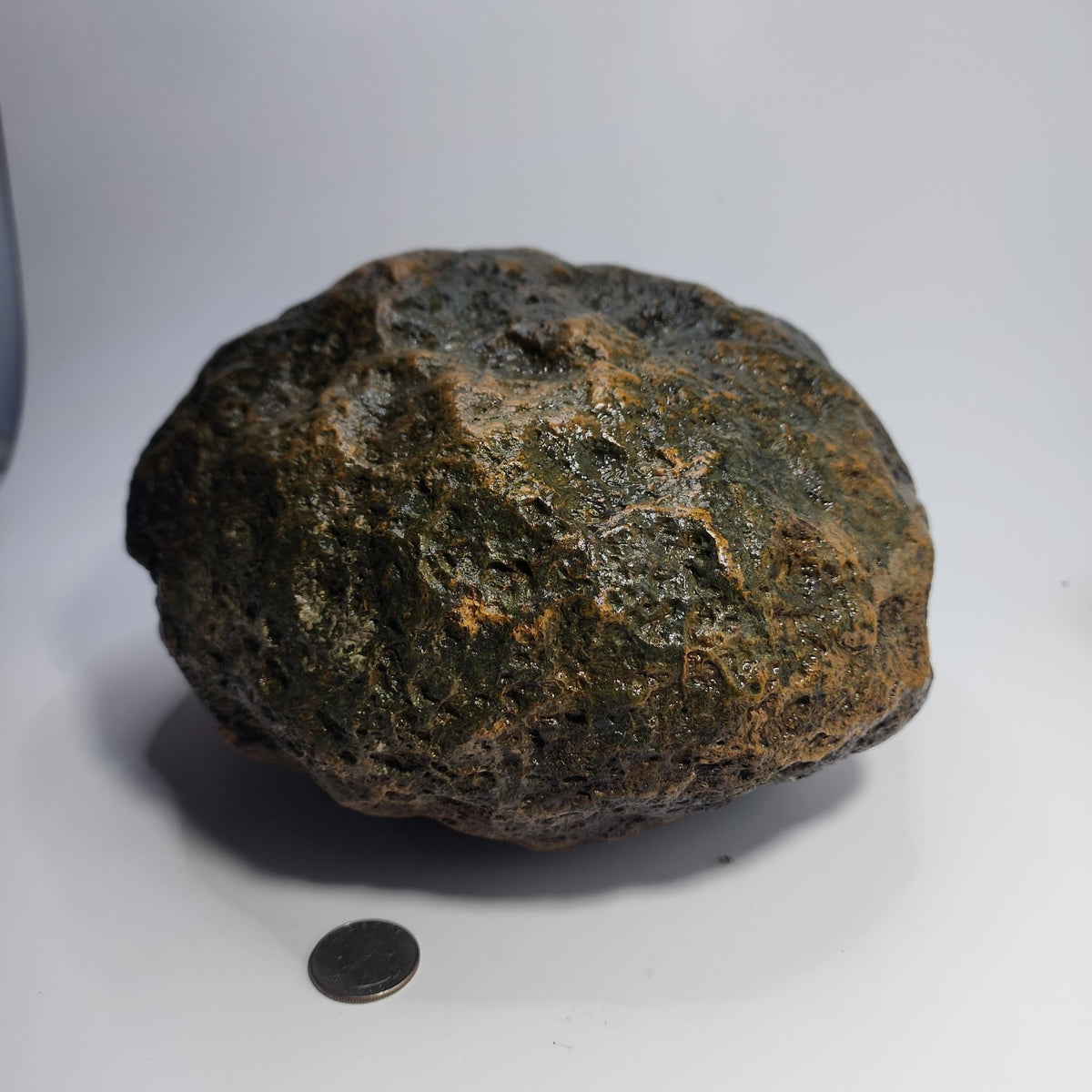 15.48 LB Whole Unopened Kentucky Geode [10-11-26-02]