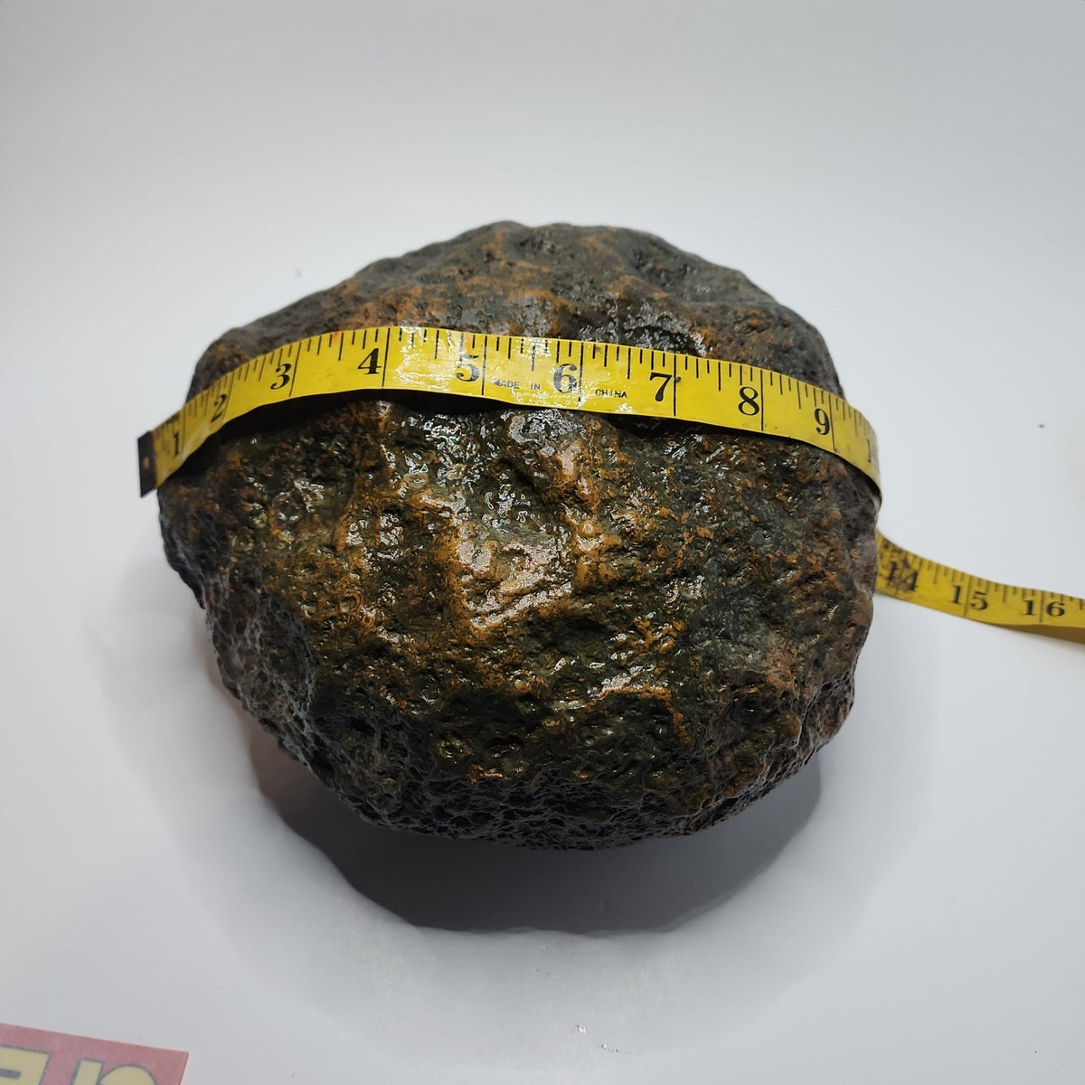 15.48 LB Whole Unopened Kentucky Geode [10-11-26-02]
