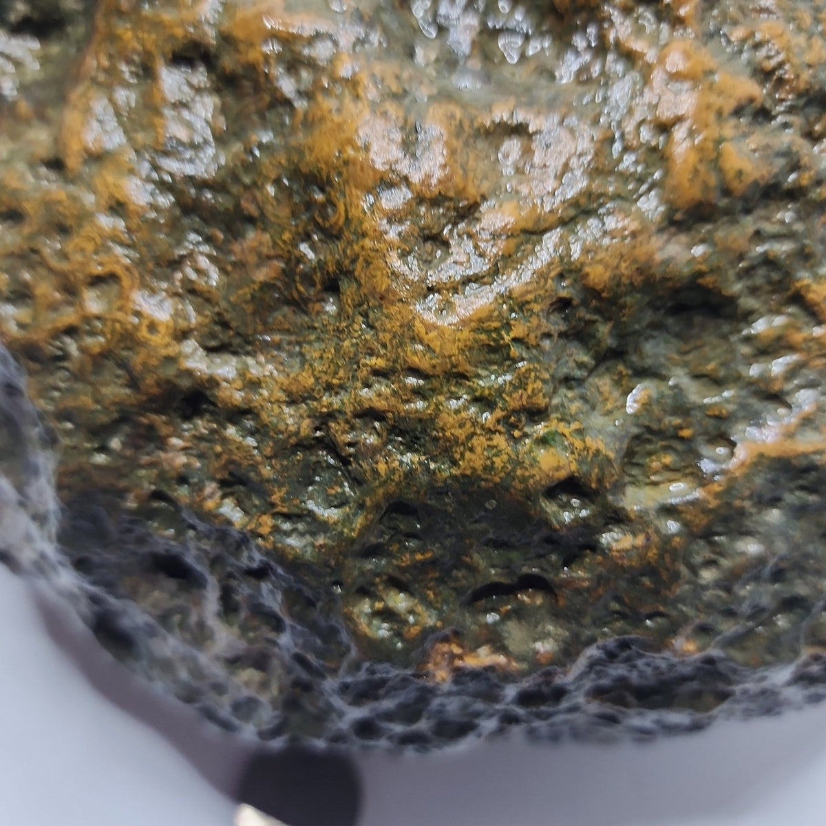 15.48 LB Whole Unopened Kentucky Geode [10-11-26-02]