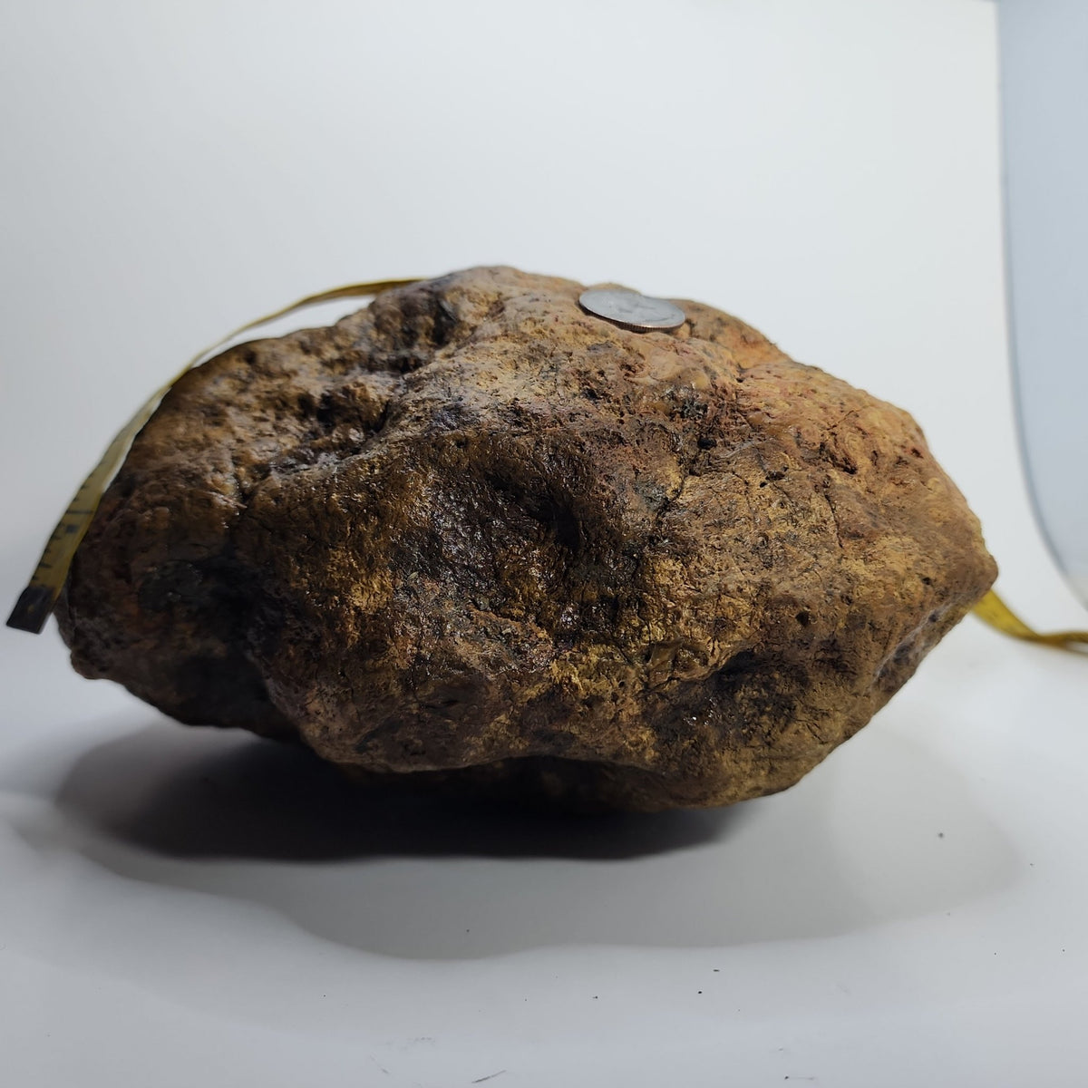 14.42 LB Whole Unopened Kentucky Geode [10-11-26-03]