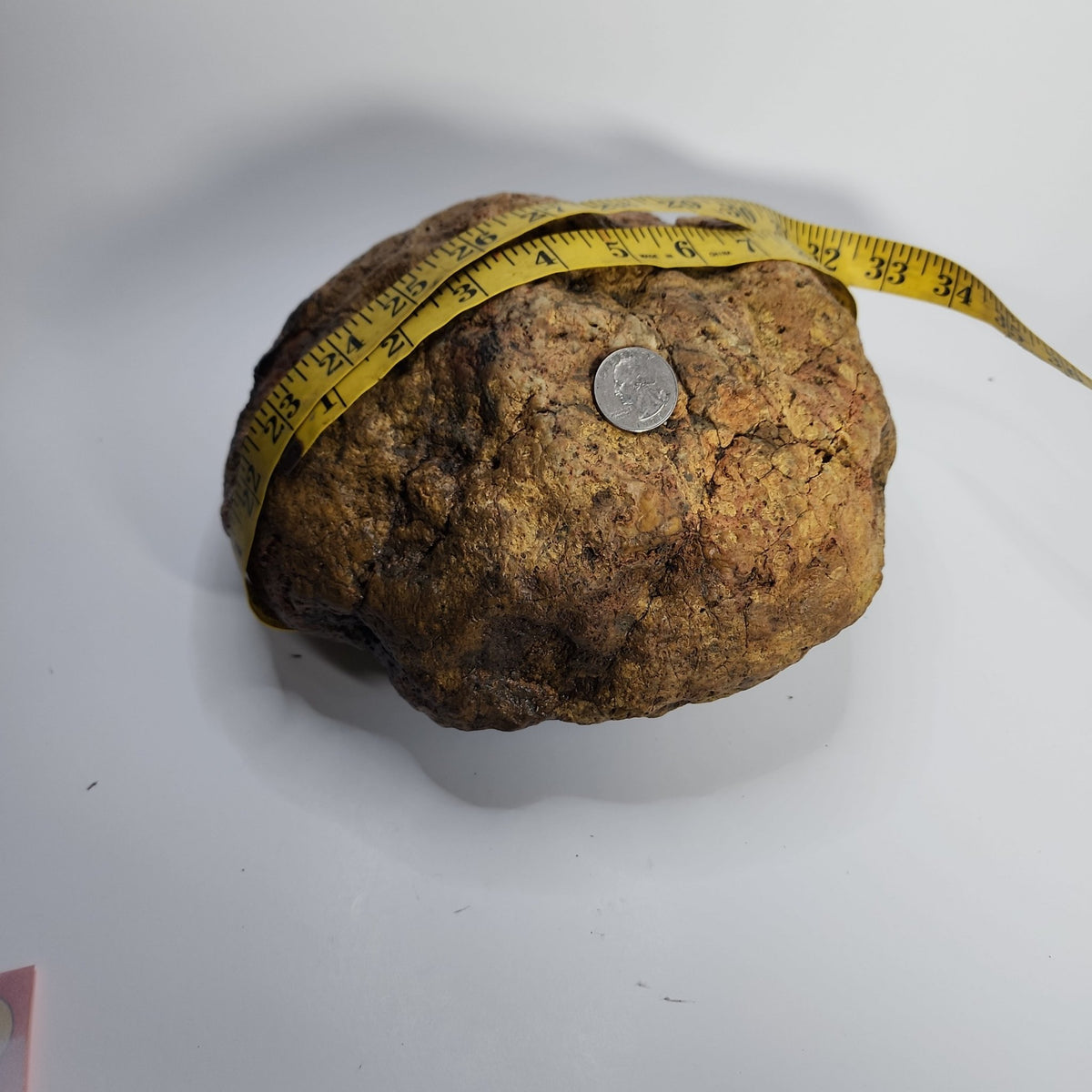 14.42 LB Whole Unopened Kentucky Geode [10-11-26-03]