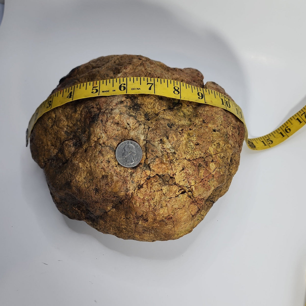 14.42 LB Whole Unopened Kentucky Geode [10-11-26-03]
