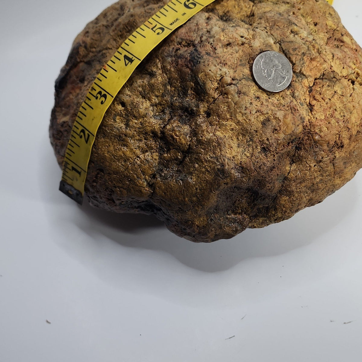 14.42 LB Whole Unopened Kentucky Geode [10-11-26-03]
