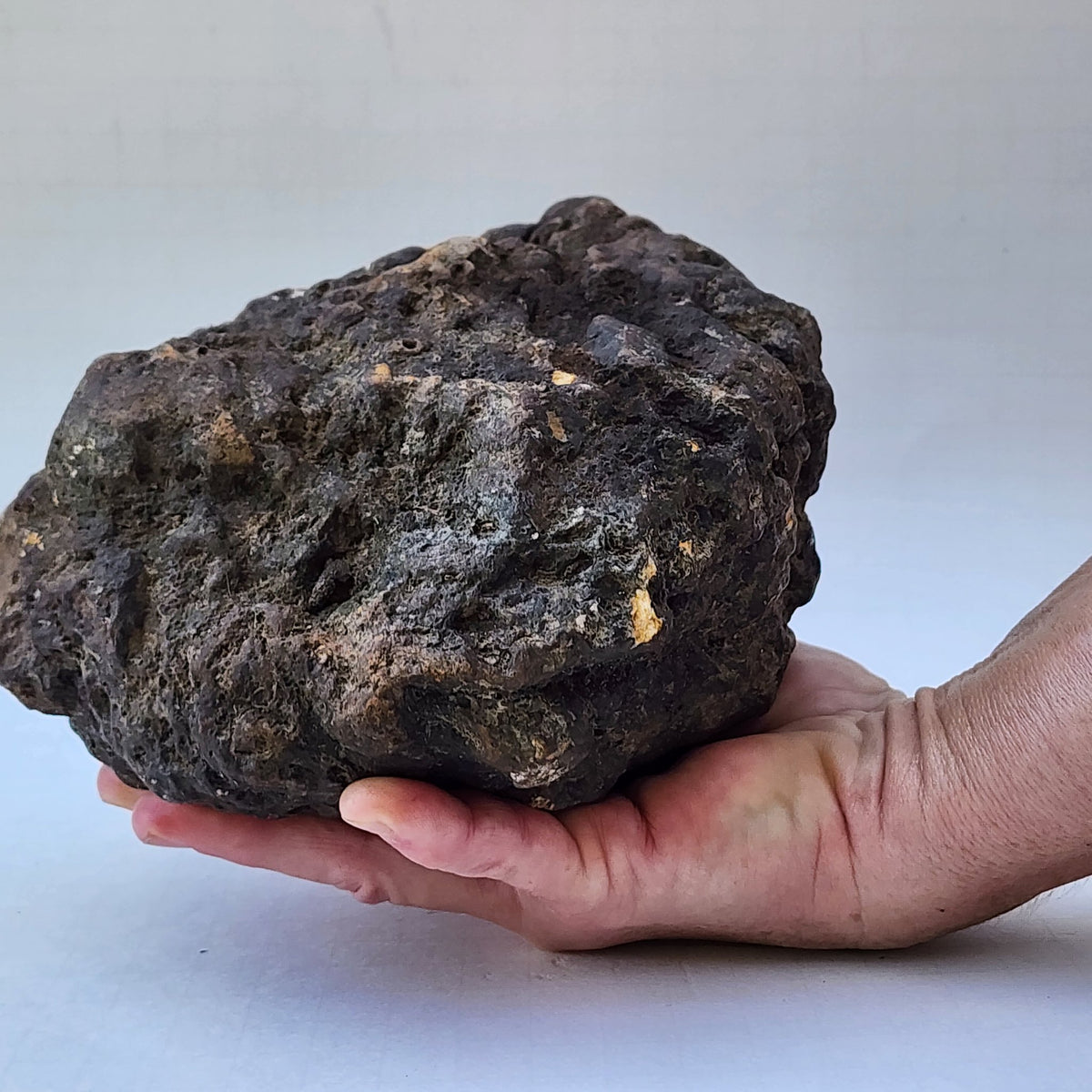 8.04 LB Whole Unopened Kentucky Geode [10-11-26-05]