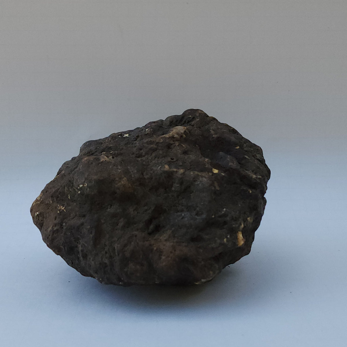 8.04 LB Whole Unopened Kentucky Geode [10-11-26-05]