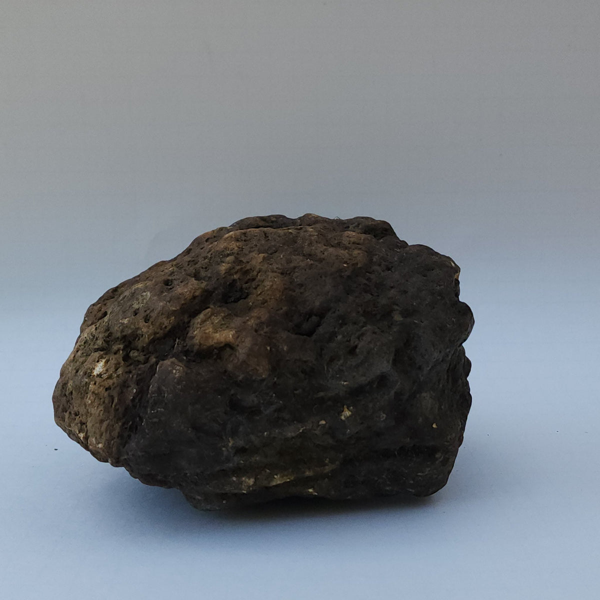 8.04 LB Whole Unopened Kentucky Geode [10-11-26-05]