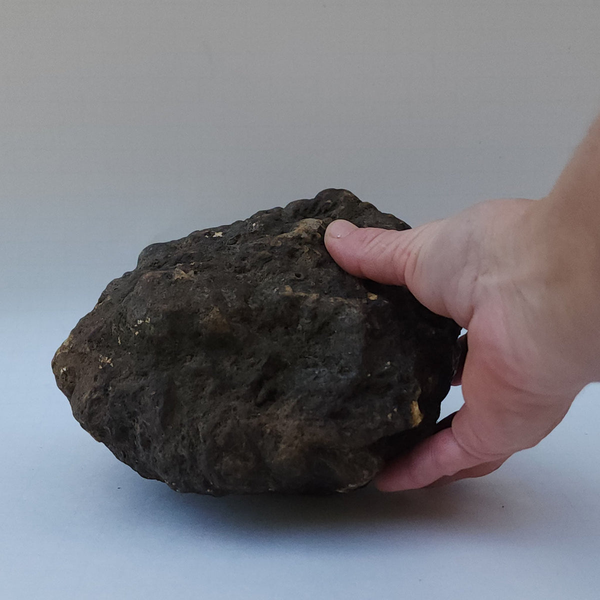 8.04 LB Whole Unopened Kentucky Geode [10-11-26-05]