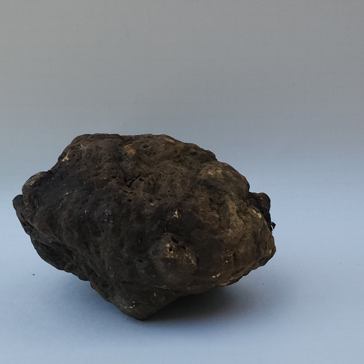 8.04 LB Whole Unopened Kentucky Geode [10-11-26-05]