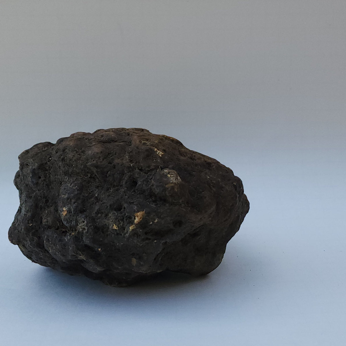 8.04 LB Whole Unopened Kentucky Geode [10-11-26-05]