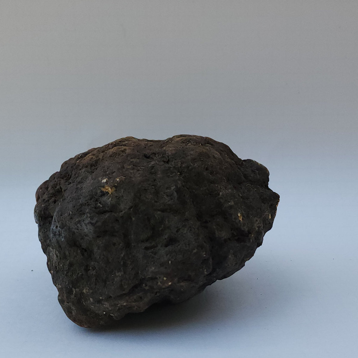 8.04 LB Whole Unopened Kentucky Geode [10-11-26-05]