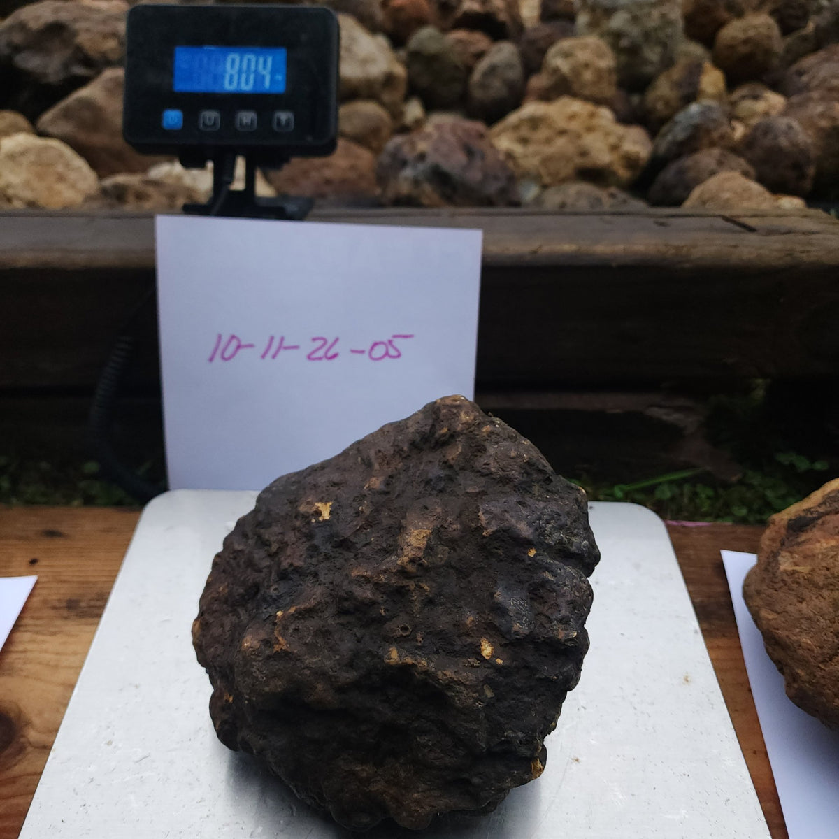 8.04 LB Whole Unopened Kentucky Geode [10-11-26-05]