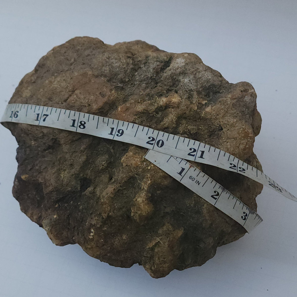 9.78 LB Whole Unopened Kentucky Geode [10-11-26-06]