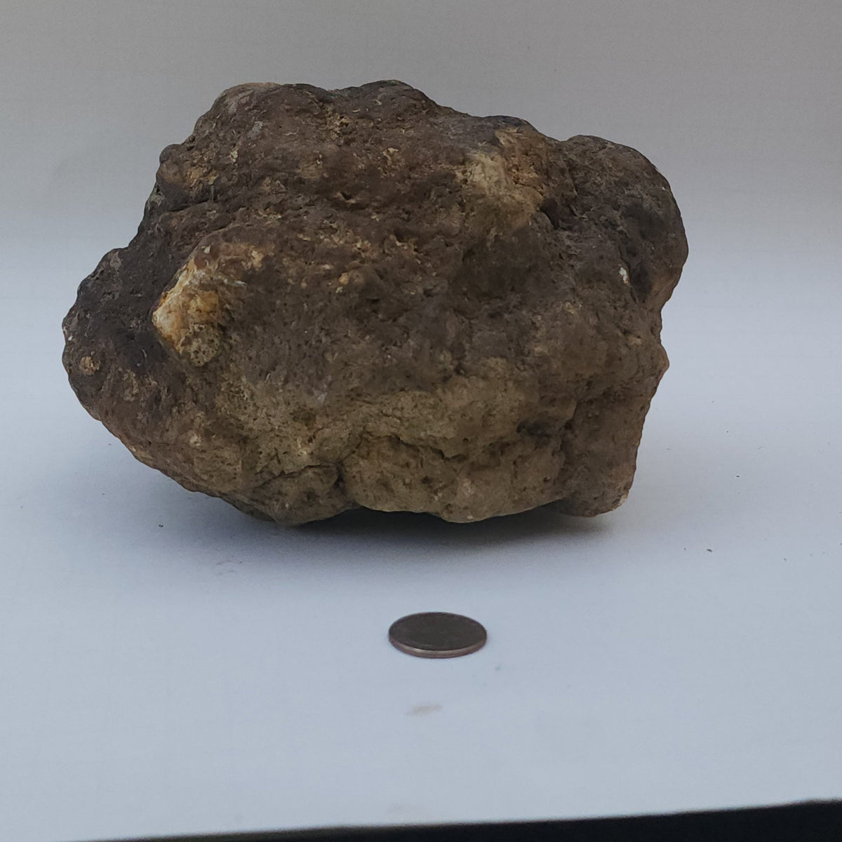 9.78 LB Whole Unopened Kentucky Geode [10-11-26-06]