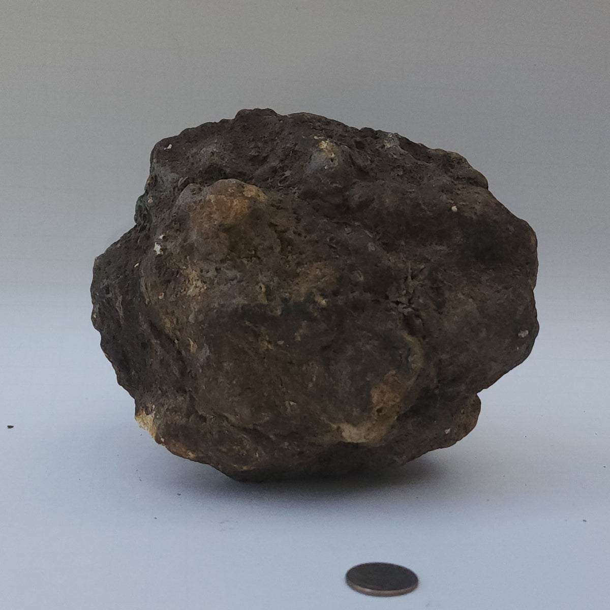 9.78 LB Whole Unopened Kentucky Geode [10-11-26-06]