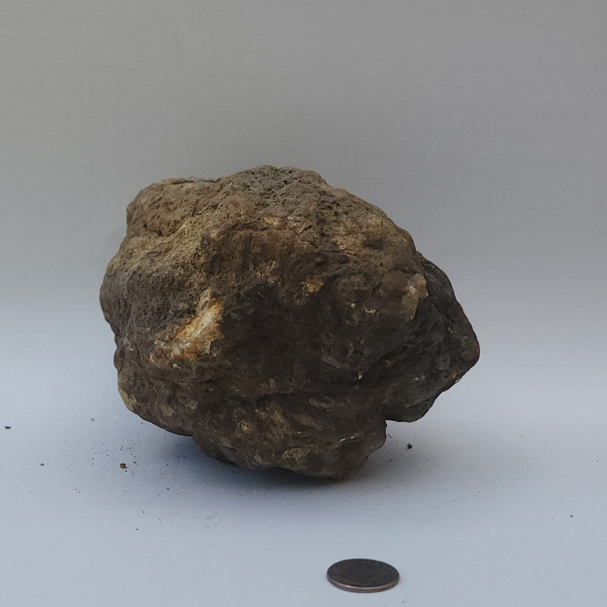9.78 LB Whole Unopened Kentucky Geode [10-11-26-06]