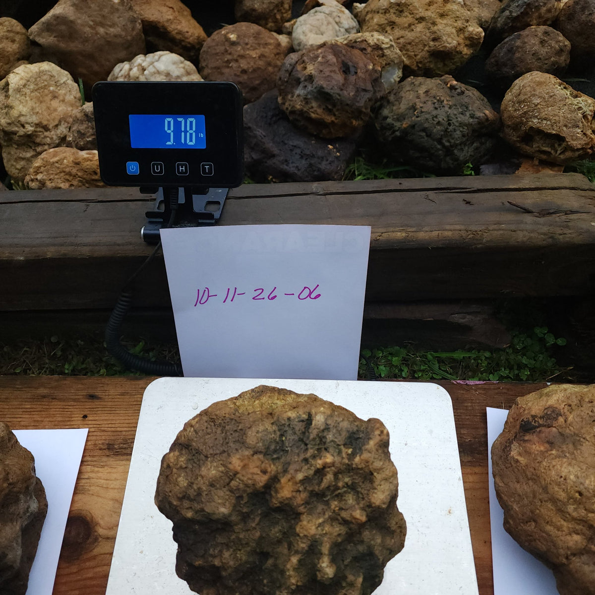 9.78 LB Whole Unopened Kentucky Geode [10-11-26-06]
