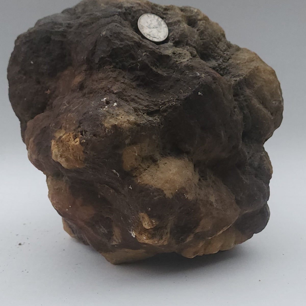 25.20 LB Whole Unopened Kentucky Geode [10-11-26-07]