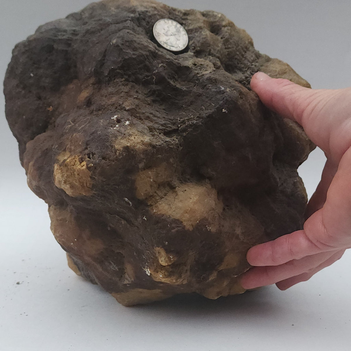 25.20 LB Whole Unopened Kentucky Geode [10-11-26-07]
