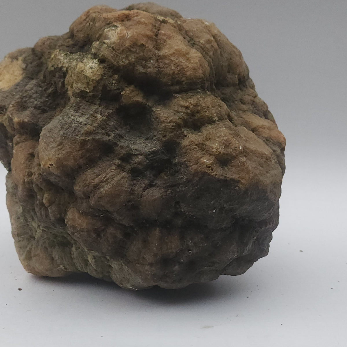 25.20 LB Whole Unopened Kentucky Geode [10-11-26-07]