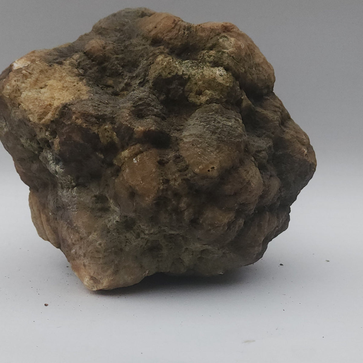 25.20 LB Whole Unopened Kentucky Geode [10-11-26-07]