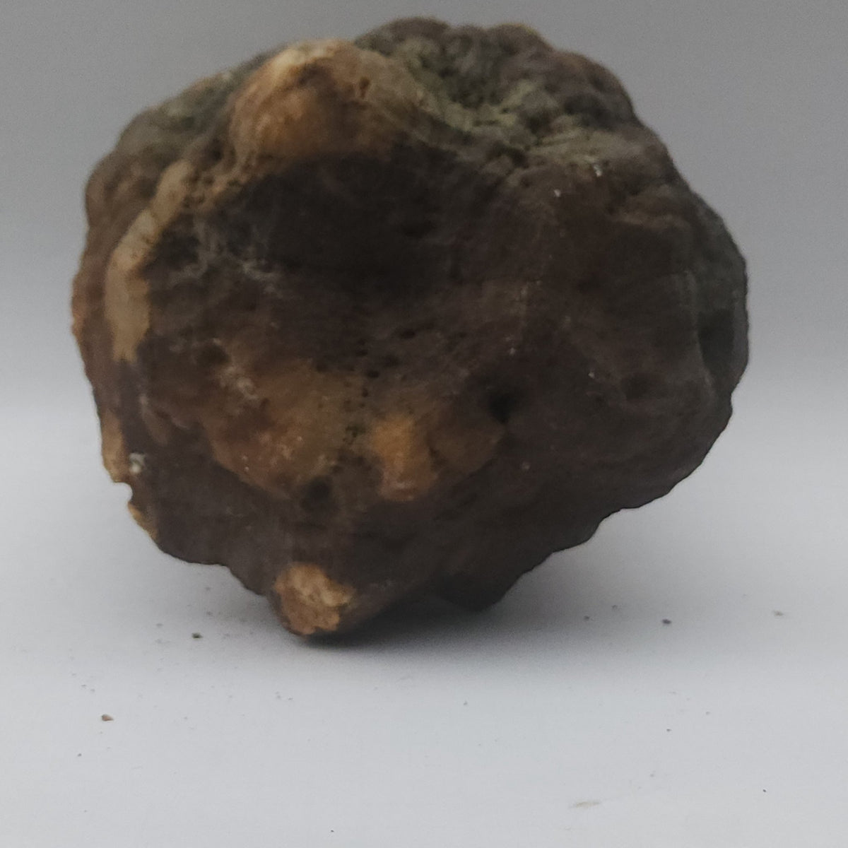 25.20 LB Whole Unopened Kentucky Geode [10-11-26-07]