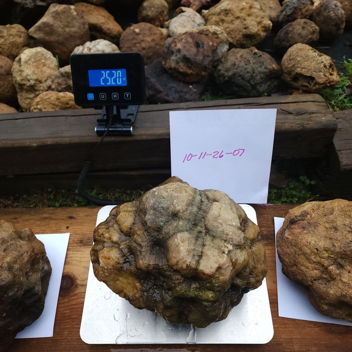 25.20 LB Whole Unopened Kentucky Geode [10-11-26-07]