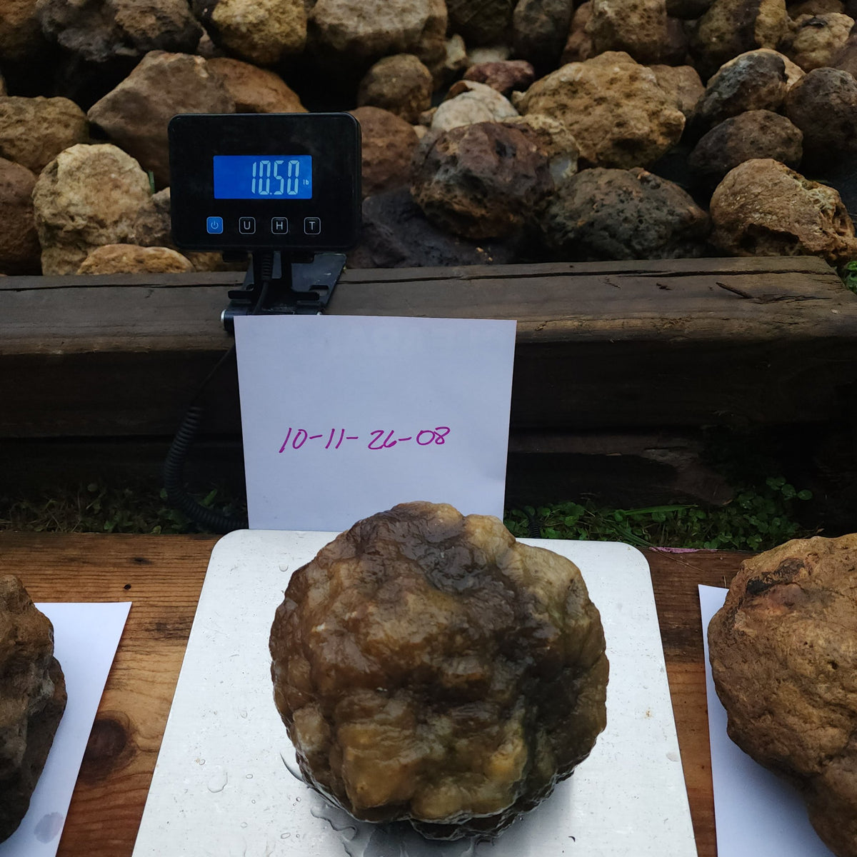 10.50 LB Whole Unopened Kentucky Geode [10-11-26-08]