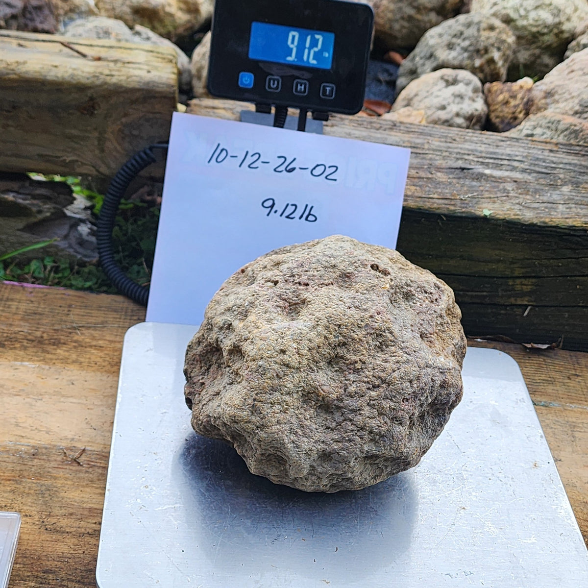 9.12 LB Whole Unopened Kentucky Geode [10-12-26-02]